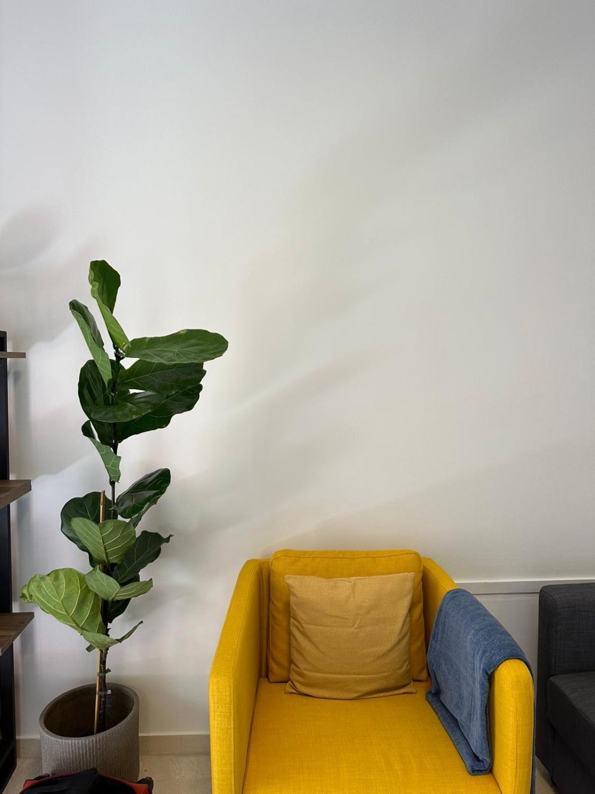 Blue Cozy Nest * Rhodes City