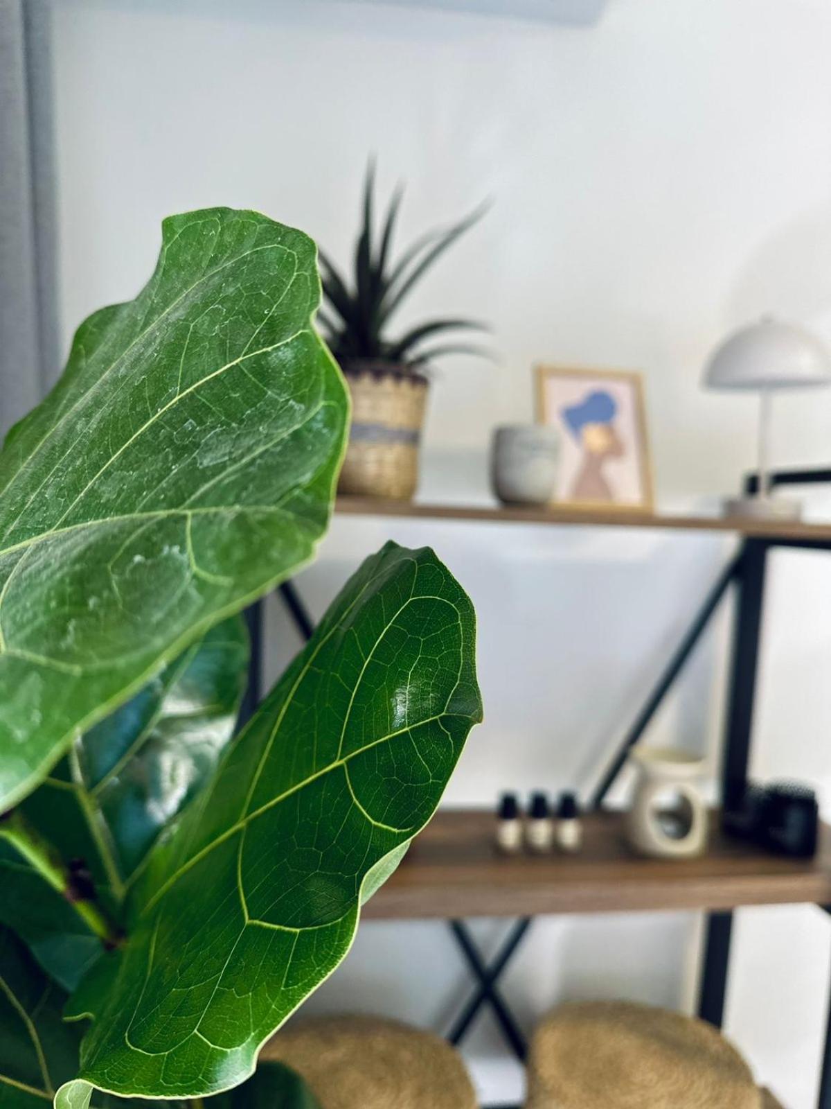 Apartament Blue Cozy Nest